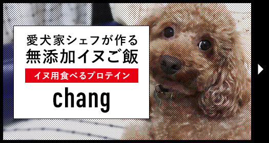 ̵źå̤ӡOne chang