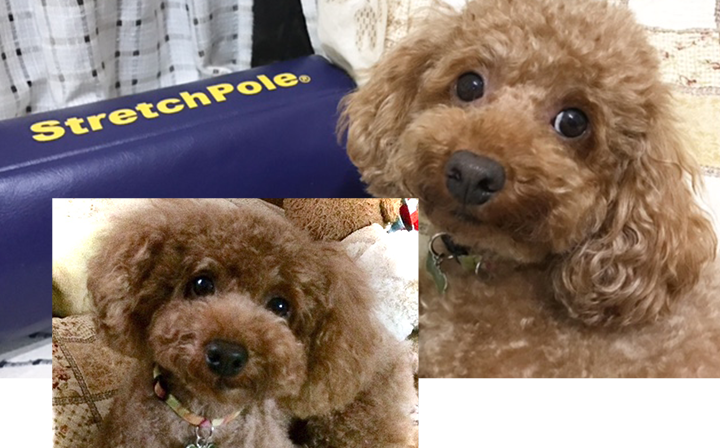 スポンサー事業(クラウドファンディング)